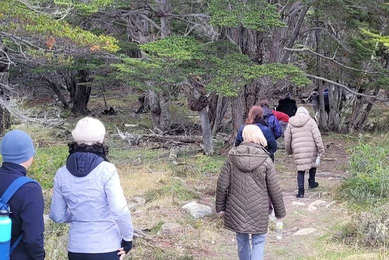Sentier en direction de la Laguna Negra