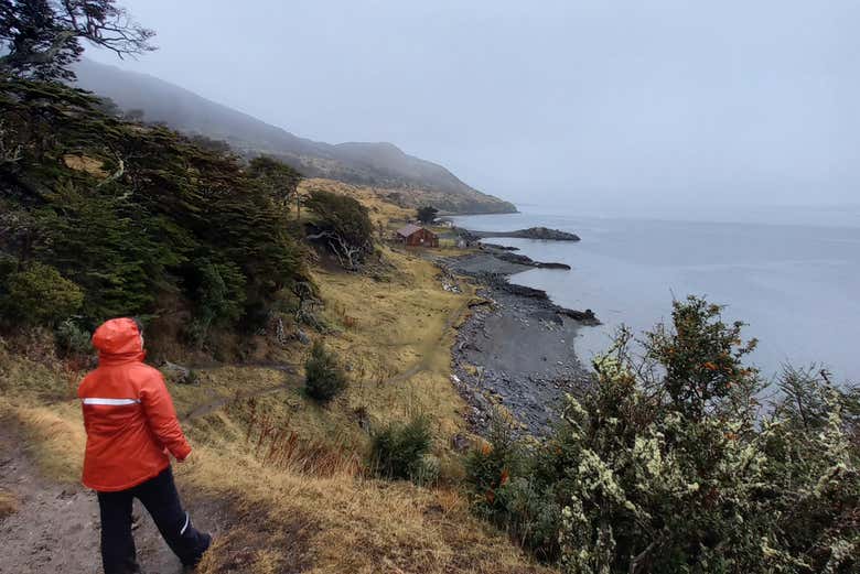 Recorriendo la orilla del Canal Beagle
