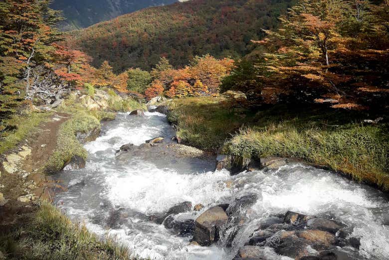 Rio durante a trilha