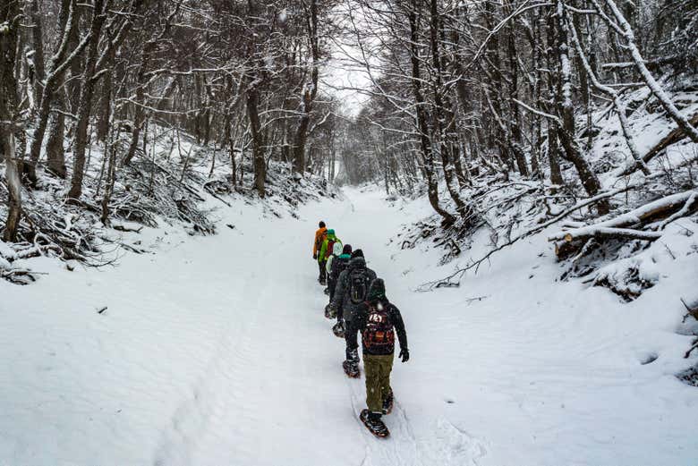 Caminhando sobre a neve com raquetes
