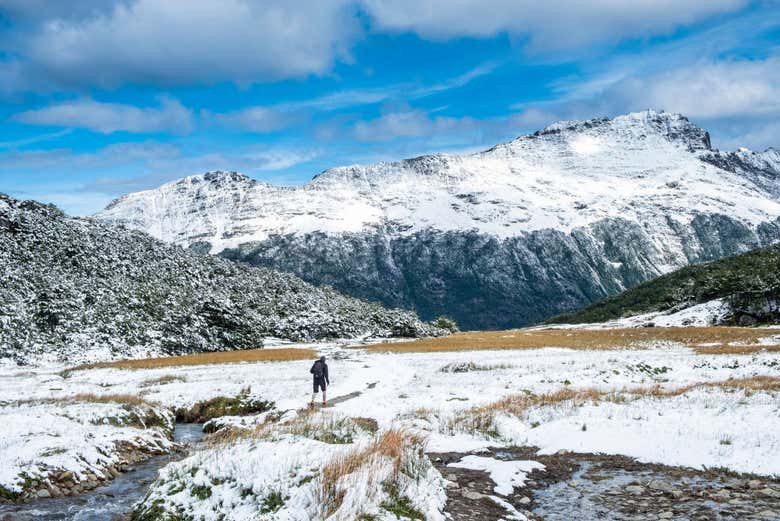 Trekking por el glaciar Vinciguerra