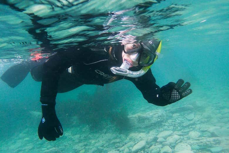 Enjoying the snorkelling experience
