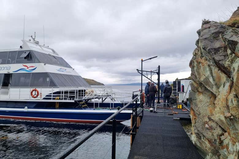 Muelle Arias