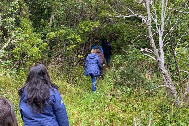 Senderismo en la isla