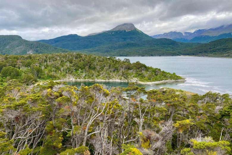 Panorámica canal de Beagle