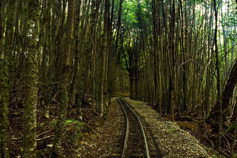 Seguindo as vias do trem