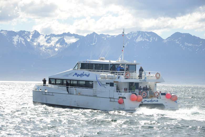 Set sail for a unique experience