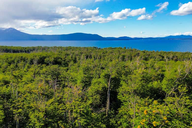 Vue sur le lac Fagnano