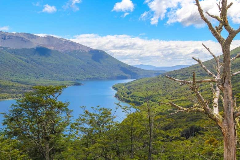 Get in touch with nature