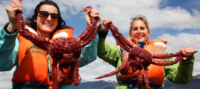 Pesca de centolla en el Canal Beagle
