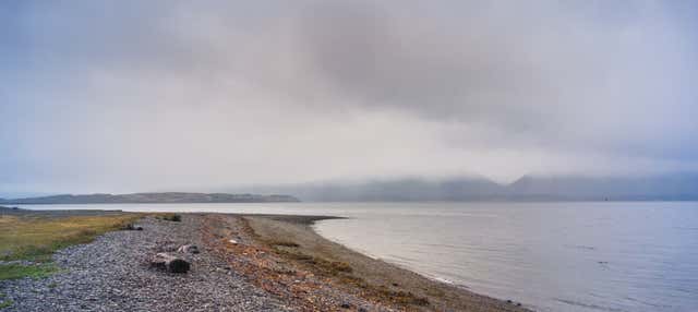 Spider Crab Route + Martillo Island Penguin Spotting