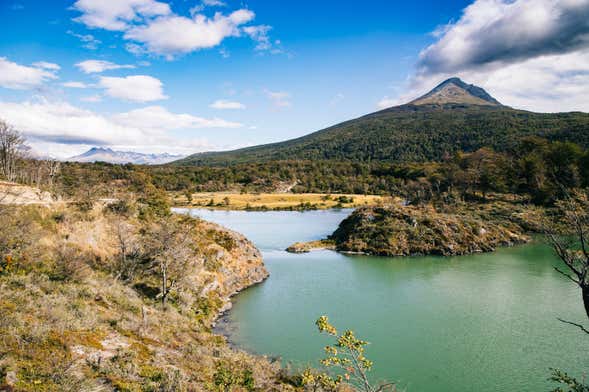 Parque Nacional Tierra del Fuego y Tren del Fin del Mundo para cruceros