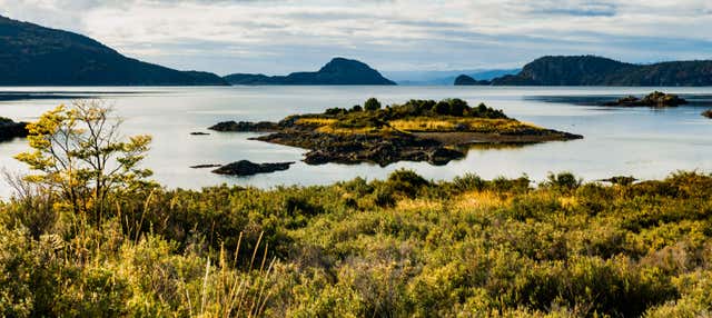 Tour della Terra del Fuoco + Isla Redonda in barca