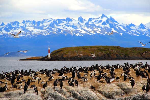 Passeio de iate pelo Canal Beagle + Trilha pela ilha Bridges