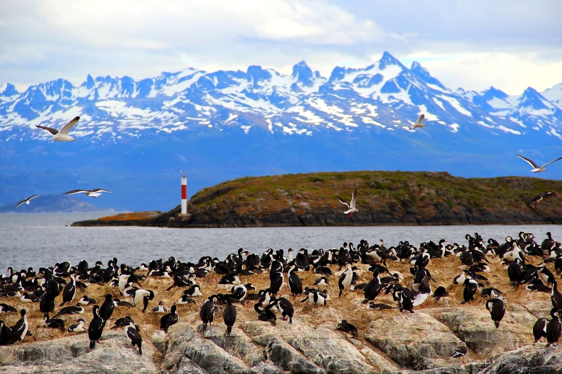 Beagle Channel Yacht Cruise & Bridges Island Trek, Ushuaia
