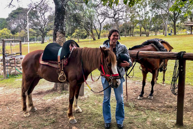 Care for the horses