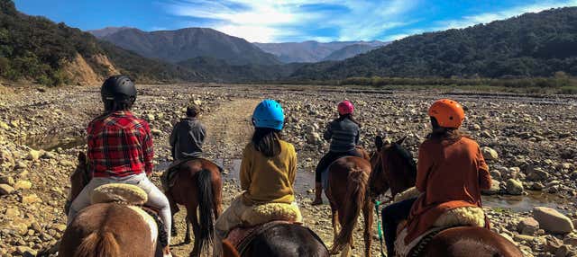 Horseback Riding in Vaqueros