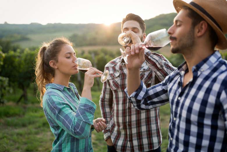 Disfrutando de la visita a los viñedos