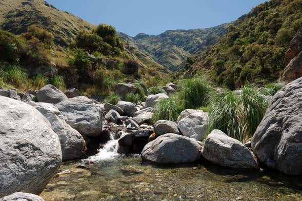 Excursión a las Sierras de Comechingones