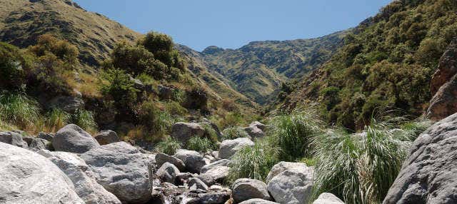 Excursión a las Sierras de Comechingones