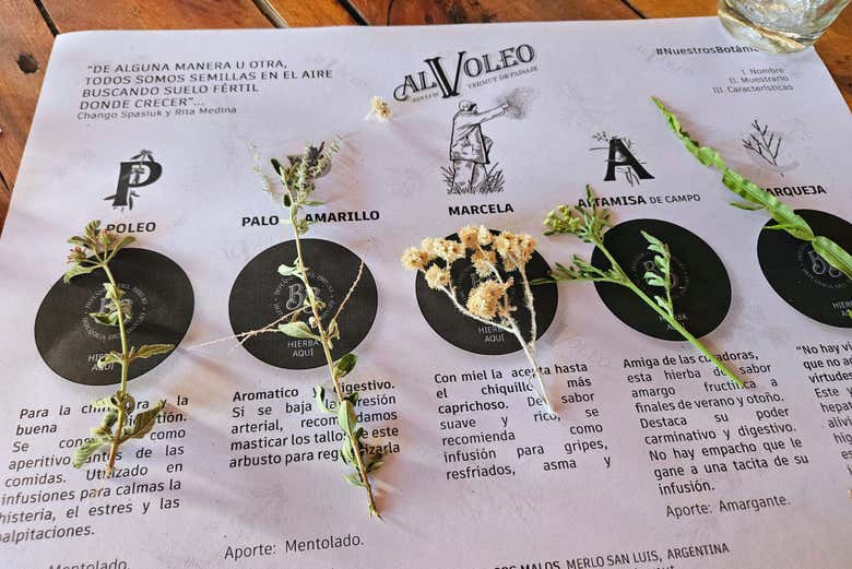 Aprenderemos sobre plantas medicinales