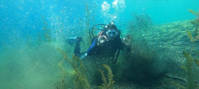 Buceo en el lago Correntoso
