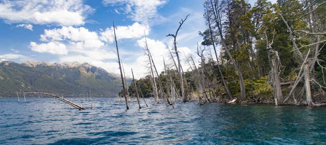 Excursión a Villa Traful