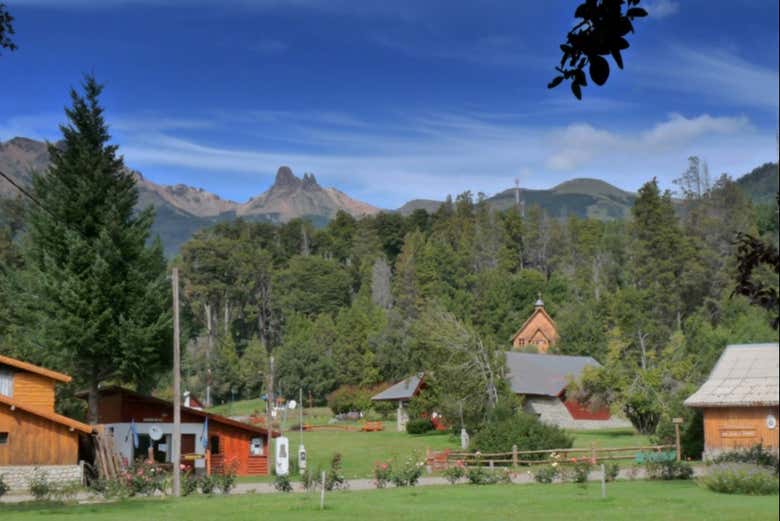 Estepa de Villa Traful