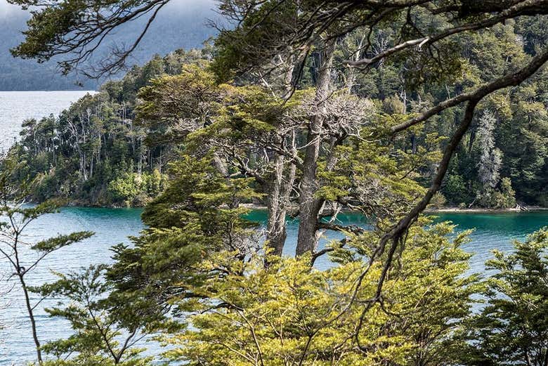 Découvrez la nature de Bariloche