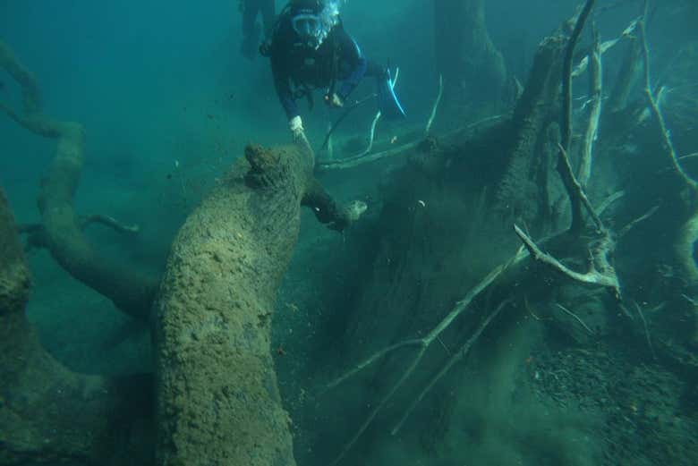 Plongée sous les eaux du Correntoso