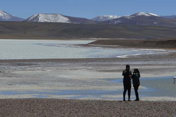 Excursión a la Laguna Brava