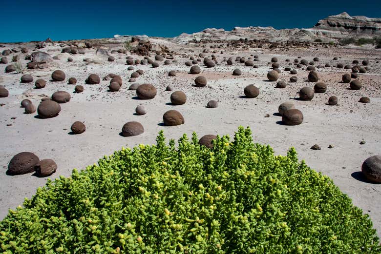 Campo de bochas de Ischigualasto