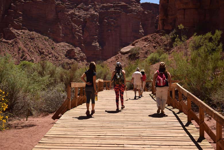 Visitando los Cajones de Shimpa