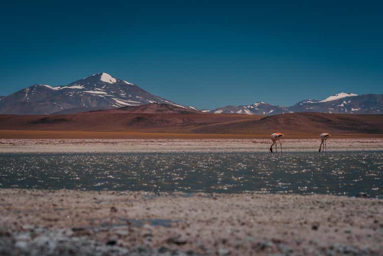 Paisagens da Laguna Brava
