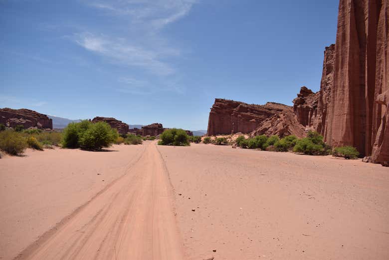 Excursão ao Cânion de Talampaya