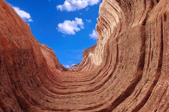 Tour por el Cañón de Talampaya