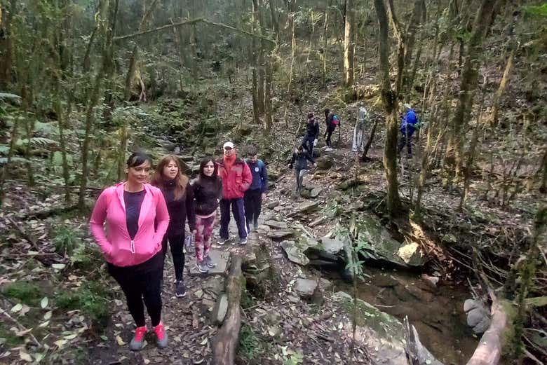Una foto del recuerdo entre el bosque