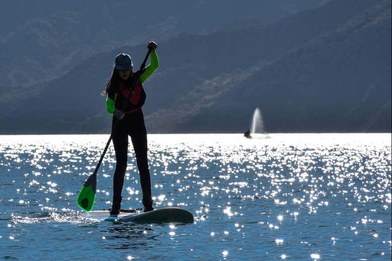 Fazendo paddle surf em Punta Negra