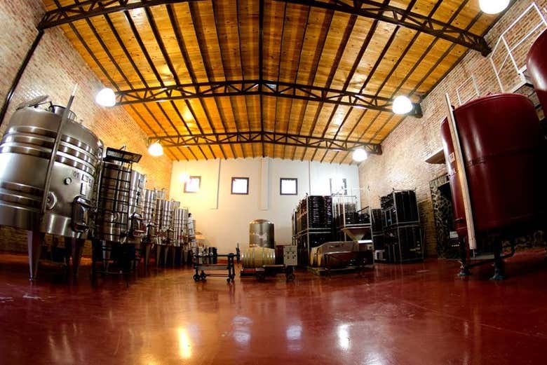 Interior de la bodega