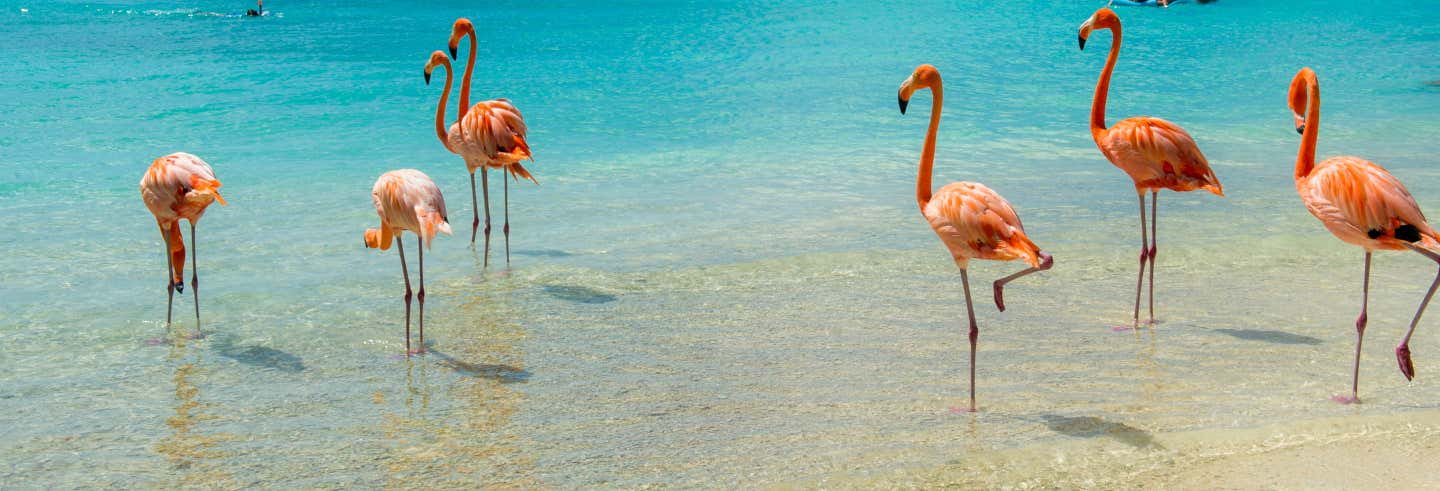 Aruba