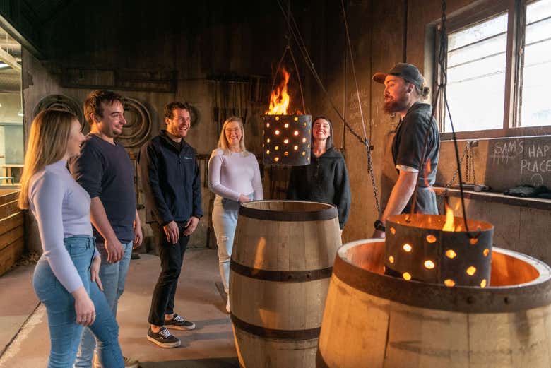 Aprendendo curiosidades sobre a cultura vitivinícola