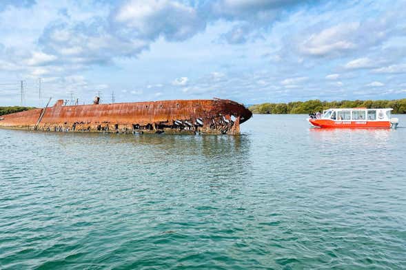 Dolphin Sighting & Ships' Graveyard Cruise in Adelaide