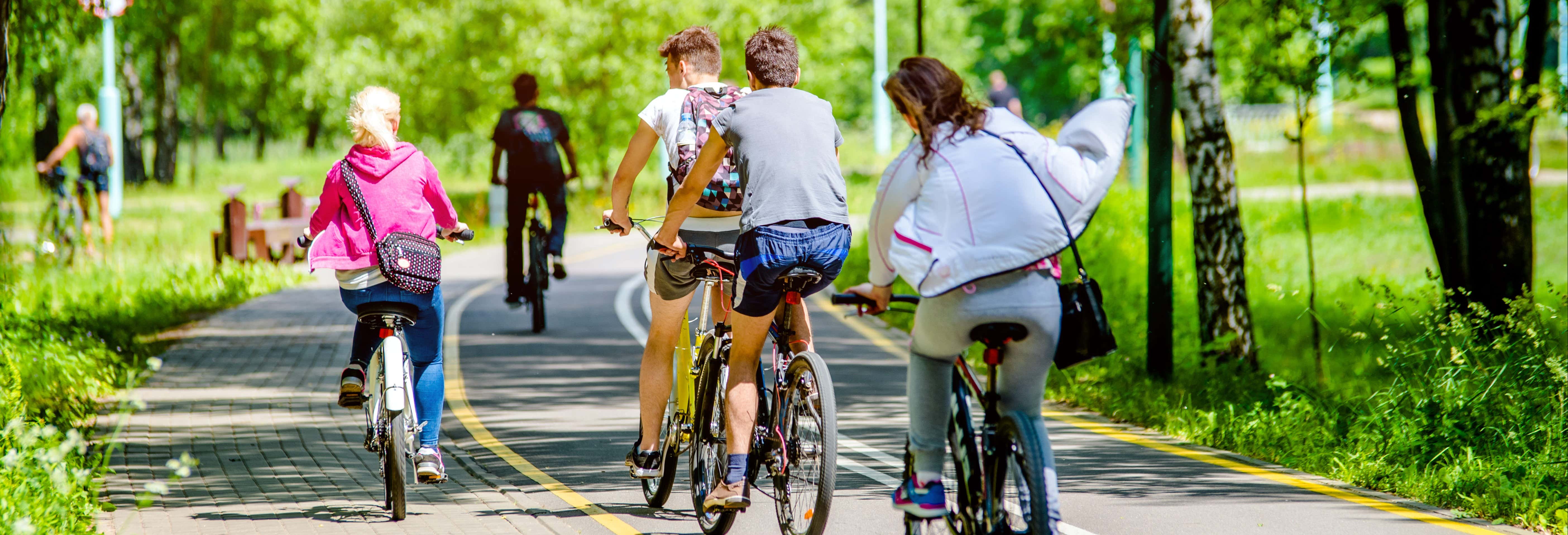 Guided tours and free tours in Adelaide