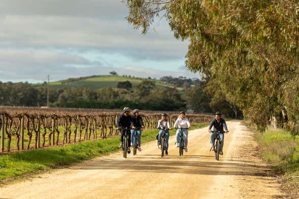 Electric Bike Wine Tour