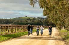 Excursion viticole à vélo électrique