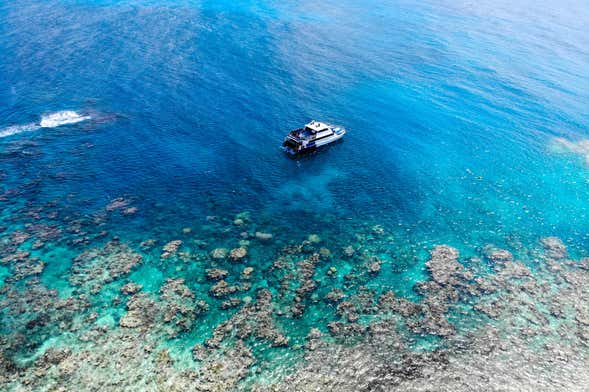 Private Whitsundays Boat Charter