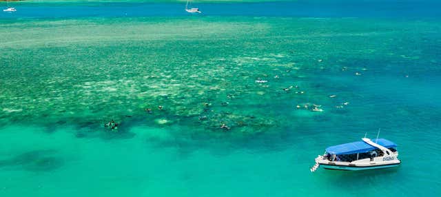Excursión a las islas Whitsundays en barco