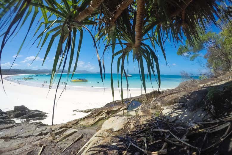 Nature du Parc National des Îles Whitsunday