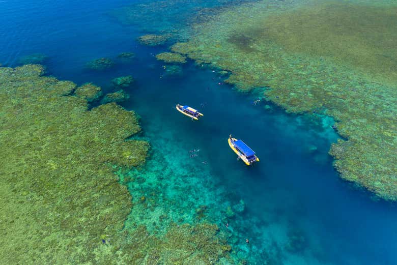 Croisière dans les eaux australiennes