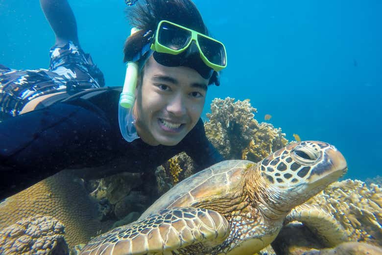 Admirez la vie sous-marine